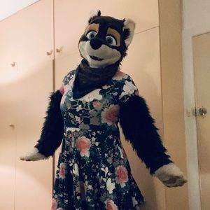 Meet your Posher, Voksy